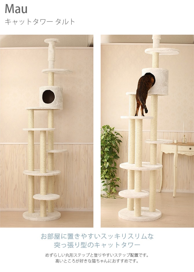 Mau マウ キャットタワー タルト  キャットタワー タワー 猫用 ハウス 上下運動 突っ張り型 シンプル ホワイト 白 大きい  