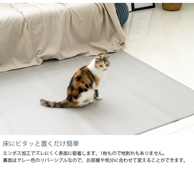 dfang ディパン ペット専用マット　ラグタイプ　185×140cm  犬用 猫用 ペットマット マット ドッグマット 防水 クッション性 ひっかきに強い 掃除しやすい おしゃれ  