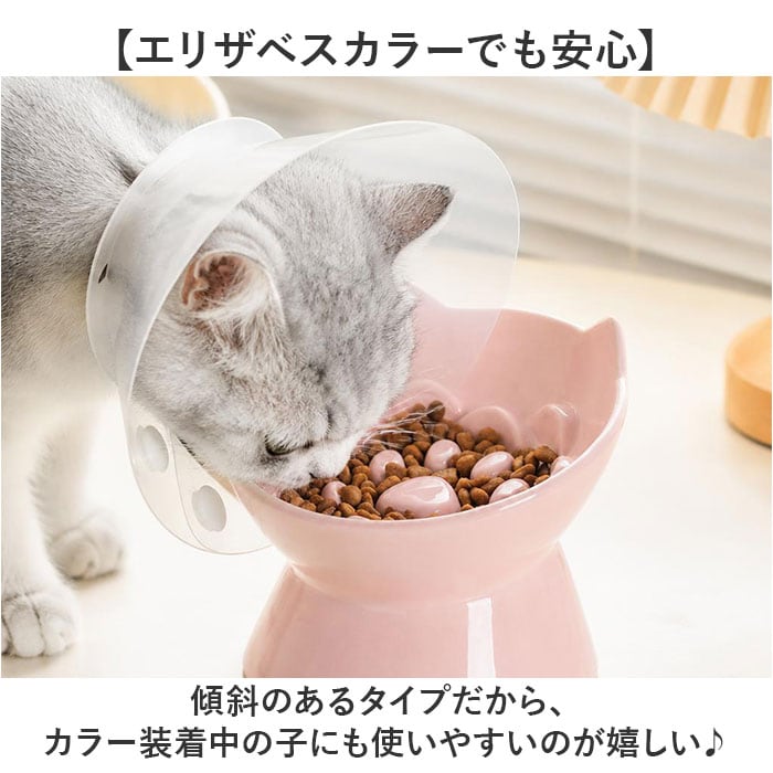 dショッピング |早食い防止 食器 猫 犬フードボウル【ブルー