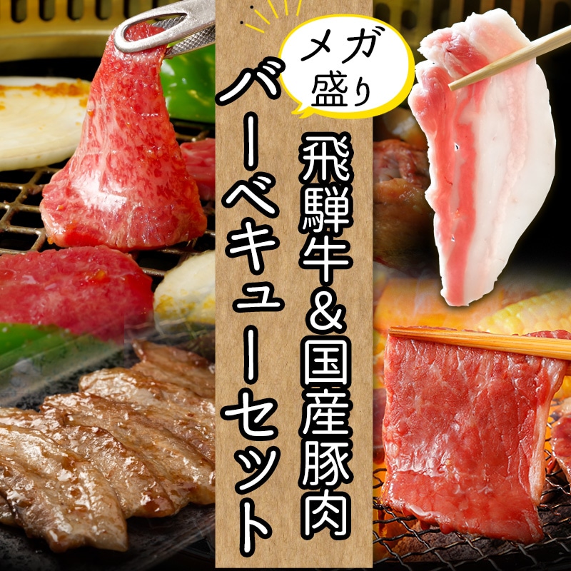 飛騨牛＆国産豚肉 バーベキューセット1kg