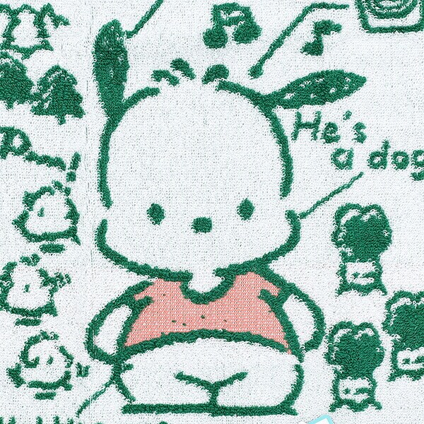 サンリオ ポチャッコ プロフィール コンパクトタオル 日本製