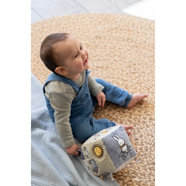 ミッフィー miffy フラッフィー ベビーキューブ(ブルー)