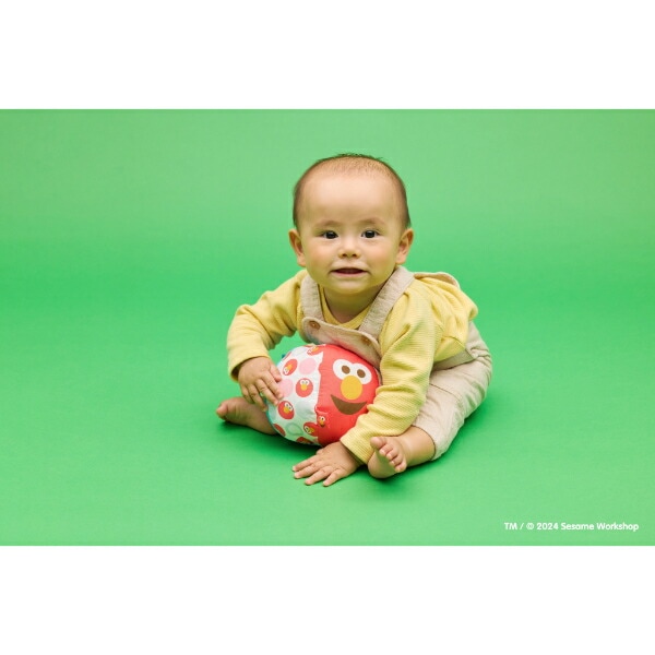 セサミストリート リンリンソフトボール ベビー