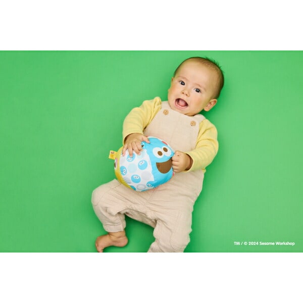 セサミストリート リンリンソフトボール ベビー