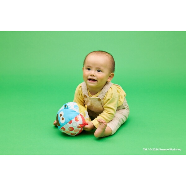 セサミストリート リンリンソフトボール ベビー