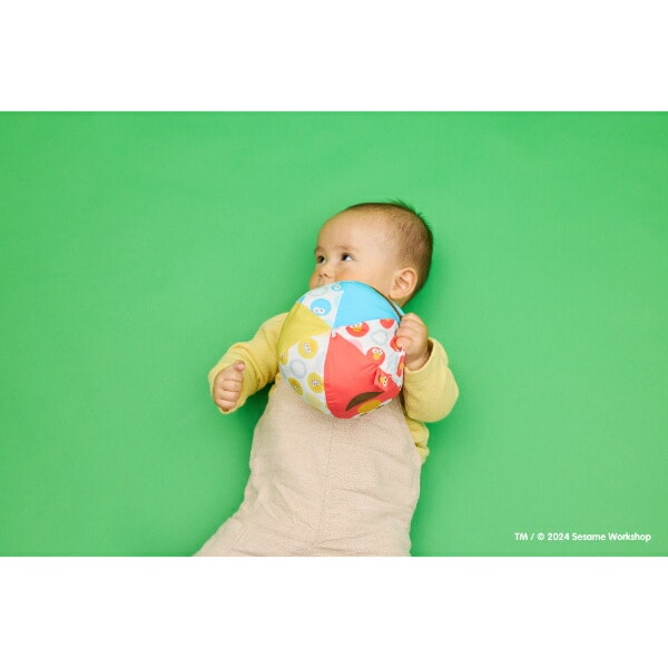 セサミストリート リンリンソフトボール ベビー