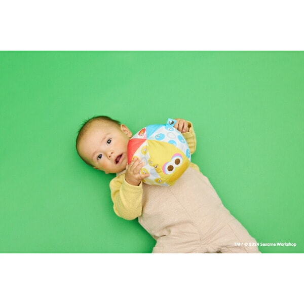 セサミストリート リンリンソフトボール ベビー