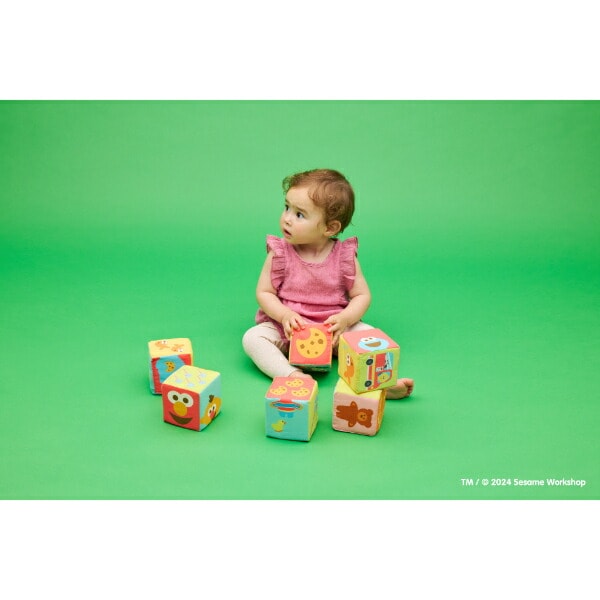 セサミストリート ふかふか布ブロック トイ ベビー