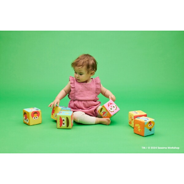セサミストリート ふかふか布ブロック トイ ベビー