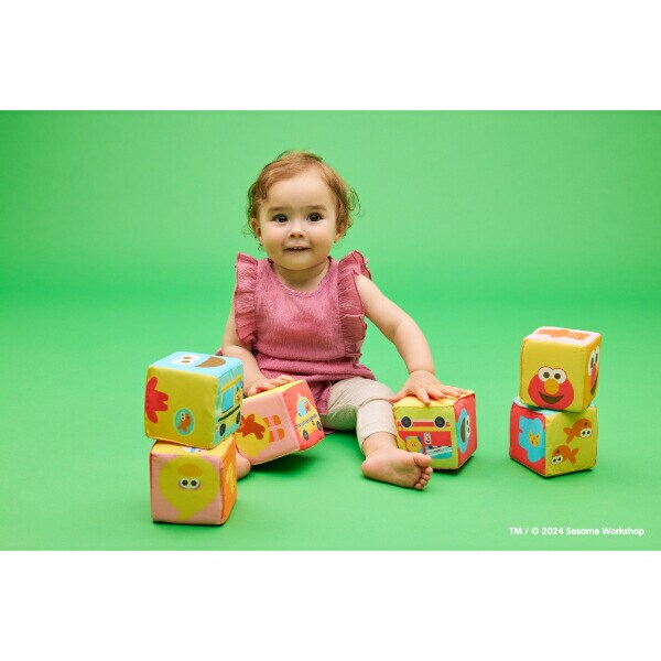 セサミストリート ふかふか布ブロック トイ ベビー