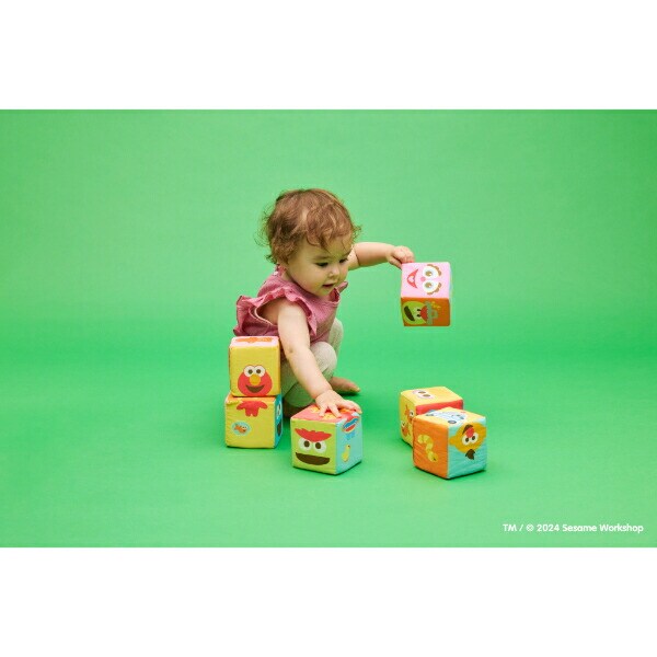 セサミストリート ふかふか布ブロック トイ ベビー