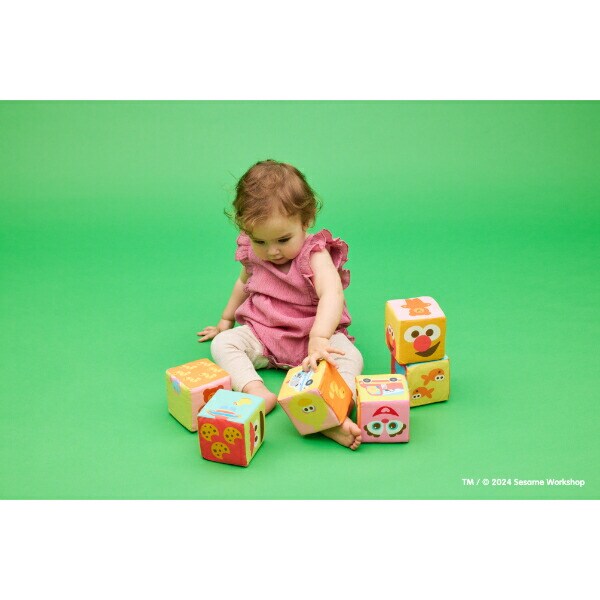セサミストリート ふかふか布ブロック トイ ベビー