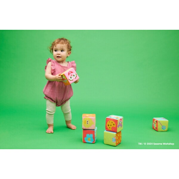 セサミストリート ふかふか布ブロック トイ ベビー