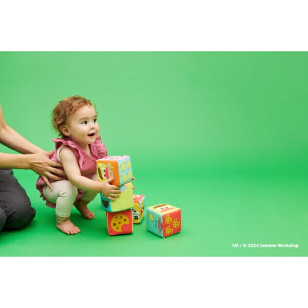 セサミストリート ふかふか布ブロック トイ ベビー