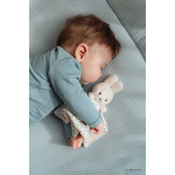 ミッフィー miffy x Little Dutch ギフトボックス3点セット ラッキーリーブス ギフトセット 出産祝い