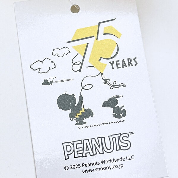 スヌーピー チャーリーブラウン パーティーハット ぬいぐるみ PEANUTS 75th