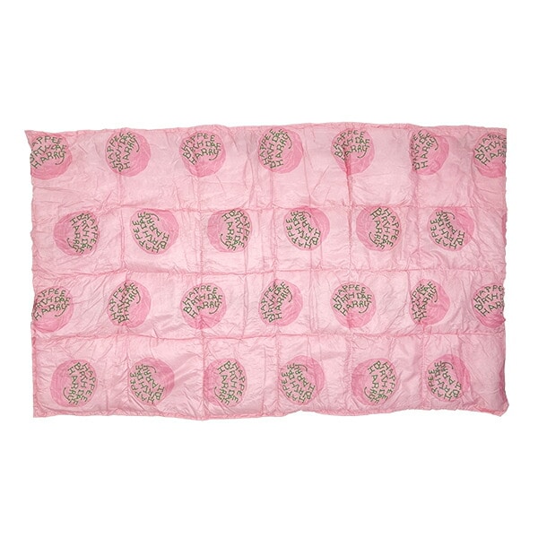 ハリーポッター バースディ ポーチ付きブランケット