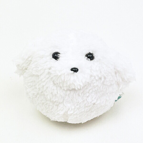 ぬいコロン わんコロン ビション・フリーゼ 犬