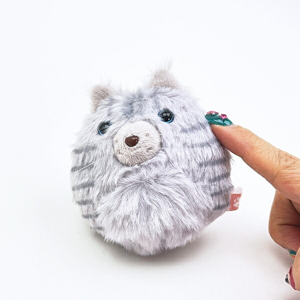 ぬいコロン にゃんコロン アメリカンショートヘア 猫