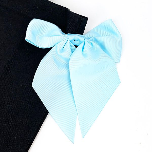 ディズニー トートバッグ シンデレラ ナチュラル プリンセス Disney