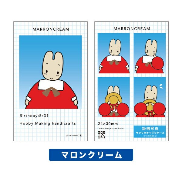 サンリオ キャラクターズ 証明写真風 スマロイド 全24種類 コンプリートセット 日本製 Sanrio