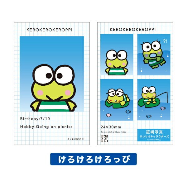 サンリオ キャラクターズ 証明写真風 スマロイド 全24種類 コンプリートセット 日本製 Sanrio