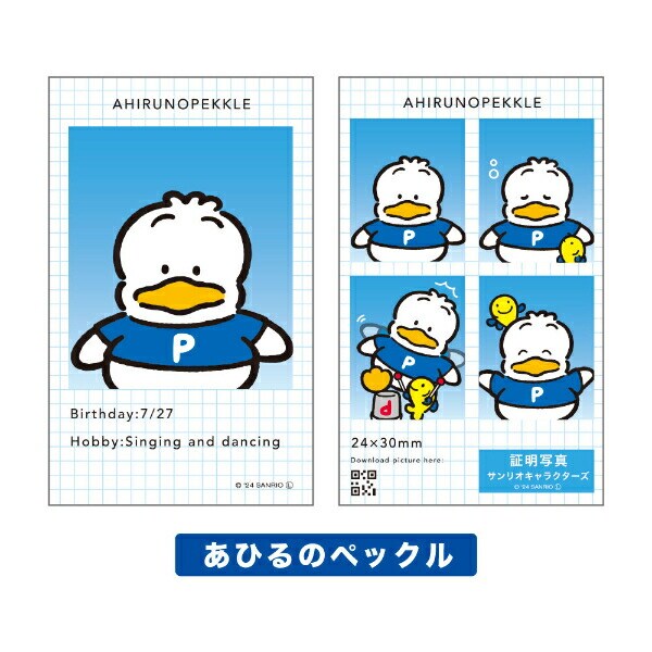 サンリオ キャラクターズ 証明写真風 スマロイド 全24種類 コンプリートセット 日本製 Sanrio