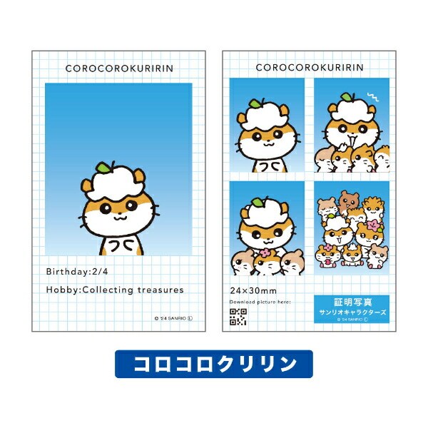 サンリオ キャラクターズ 証明写真風 スマロイド 全24種類 コンプリートセット 日本製 Sanrio