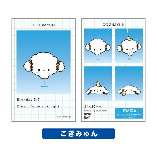 サンリオ キャラクターズ 証明写真風 スマロイド 全24種類 コンプリートセット 日本製 Sanrio