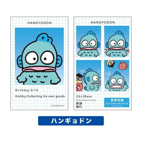 サンリオ キャラクターズ 証明写真風 スマロイド 全24種類 コンプリートセット 日本製 Sanrio
