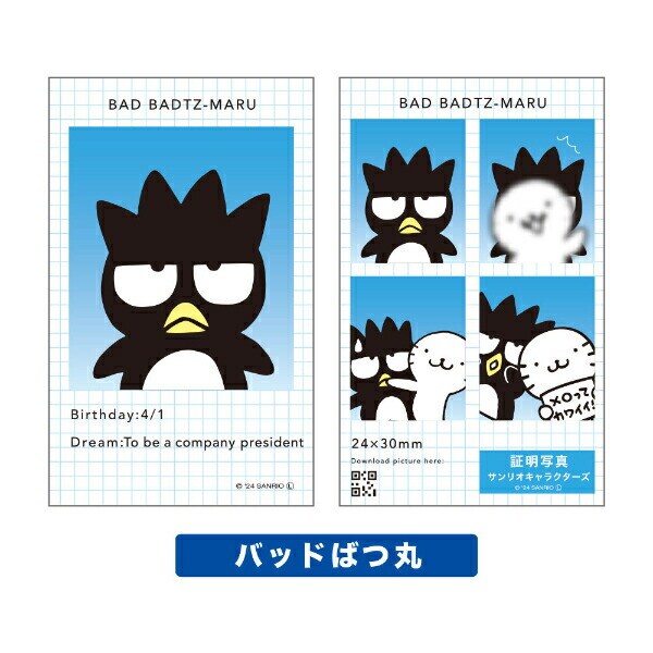 サンリオ キャラクターズ 証明写真風 スマロイド 全24種類 コンプリートセット 日本製 Sanrio