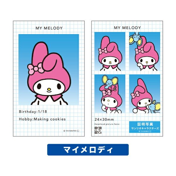 サンリオ キャラクターズ 証明写真風 スマロイド 全24種類 コンプリートセット 日本製 Sanrio