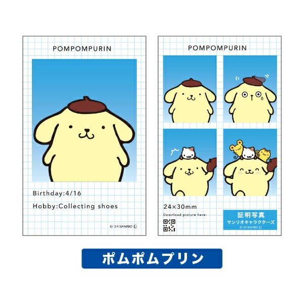 サンリオ キャラクターズ 証明写真風 スマロイド 全24種類 コンプリートセット 日本製 Sanrio
