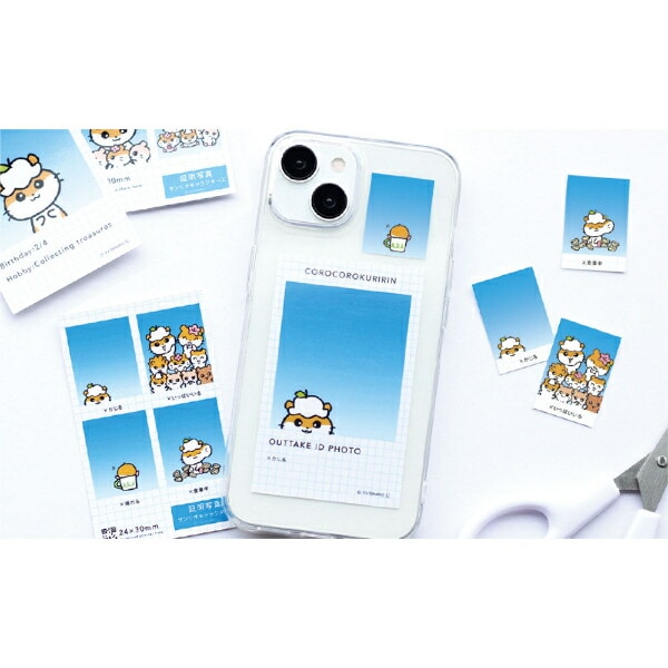 サンリオキャラクターズ トレーディング証明写真風スマロイド NG集 全24種コンプリートBOX 日本製 Sanrio