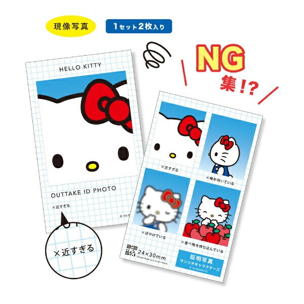 サンリオキャラクターズ トレーディング証明写真風スマロイド NG集 全24種コンプリートBOX 日本製 Sanrio