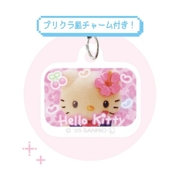 サンリオ 日焼け キティ スクバ風ペンポーチ Y2K Sanrio