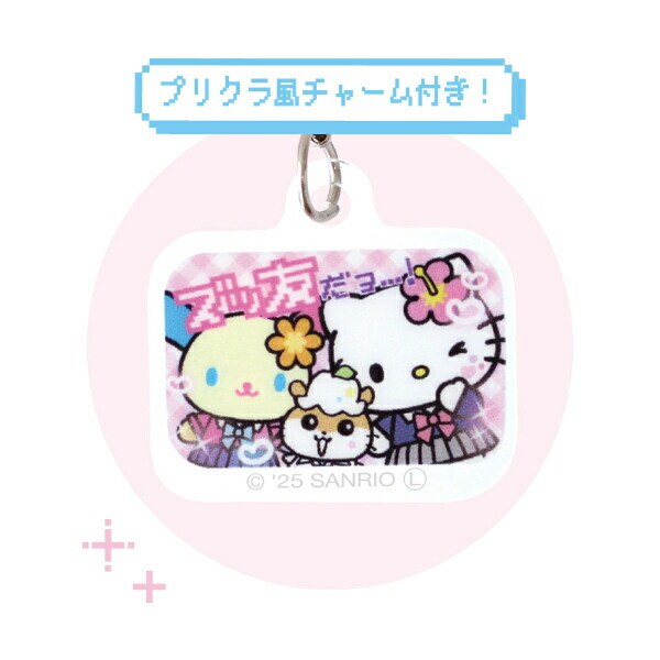 サンリオキャラクターズ ズッ友 スクバ風ペンポーチ Y2K Sanrio