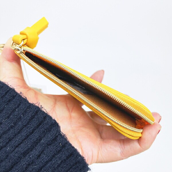 ディズニー クラリス ダイカットフラットポーチ チップとデール ACCOMMODE アコモデ Disney