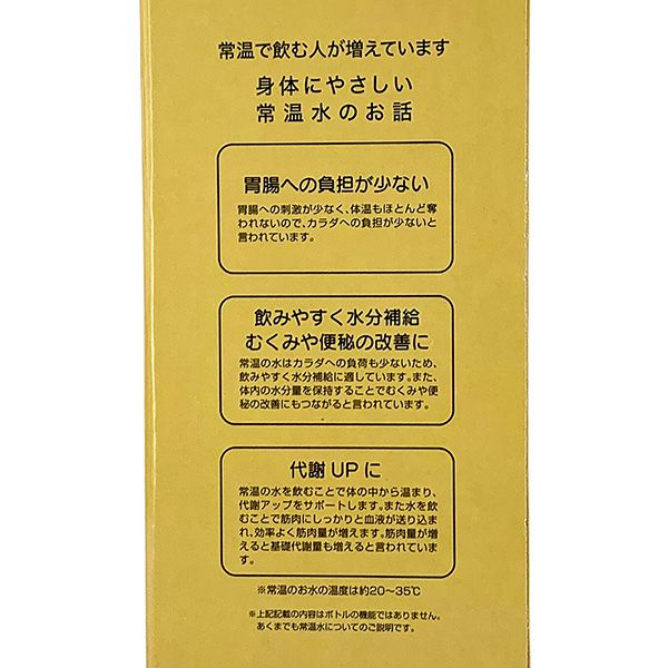 ミッキー グリーンワールド ステンレス 一層ボトル ミニー ステンレスボトル 水筒 ドリンクボトル キッチン 学校 オフィス