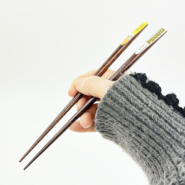 スヌーピー 天削げ箸5膳セット PEANUTS 75th 食器 SNOOPY