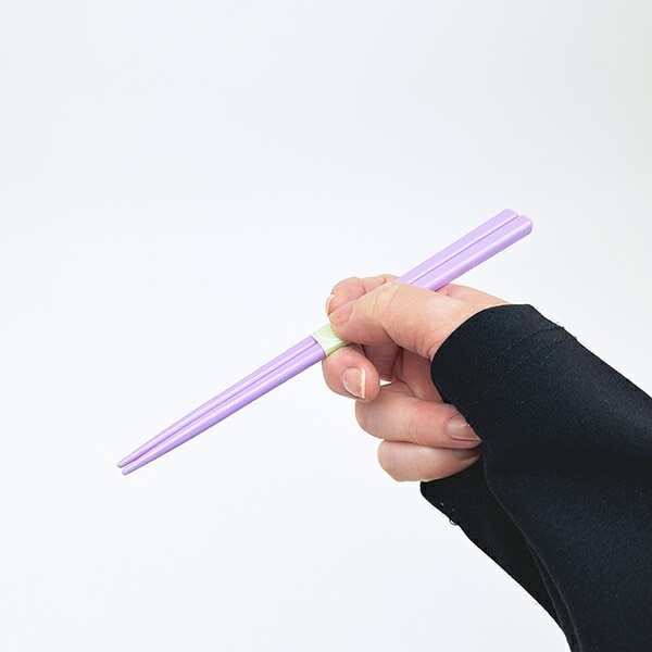 ディズニー プリンセス ラプンツェル 抗菌音の鳴らない箸・箸箱セット フラワー ランチ 日本製 Disney