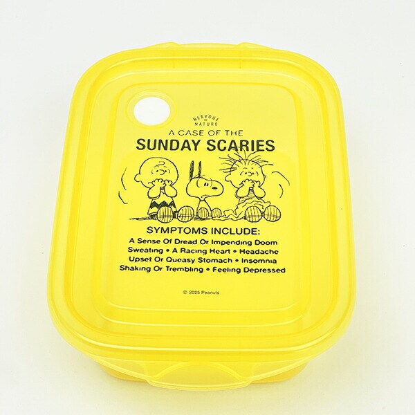 スヌーピー 抗菌 シールボックス (2個入り) キッチン 日本製 SNOOPY