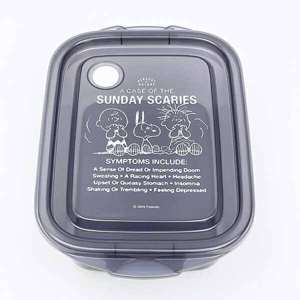 スヌーピー 抗菌 シールボックス (2個入り) キッチン 日本製 SNOOPY