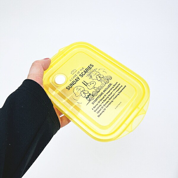 スヌーピー 抗菌 シールボックス (2個入り) キッチン 日本製 SNOOPY