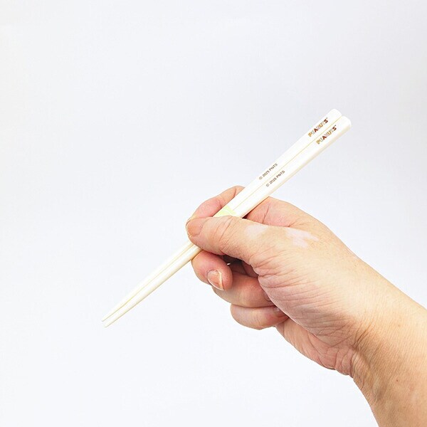 スヌーピー &ベア 音の鳴らない箸・箸箱セット(箸18cm) ランチ 日本製 SNOOPY