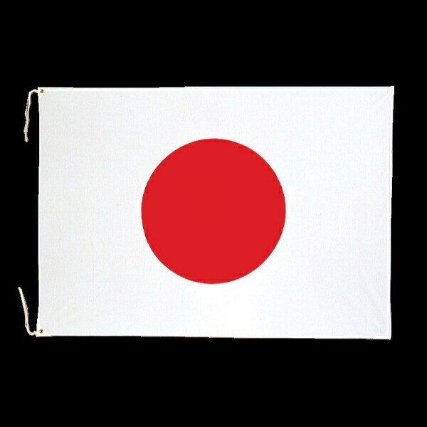 日本国旗 日の丸 スポーツ観戦 オリンピック ワールドカップ WBC 野球 観戦旗 応援 式典 運動会  日本製