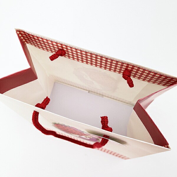 水森亜土 キャリーバッグ(M) 赤いスカーフ 紙袋