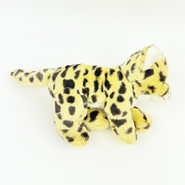 ぬいぐるみ ワイルドアニマルズ チーター Ｓ  人形 インテリア キッズ ギフト