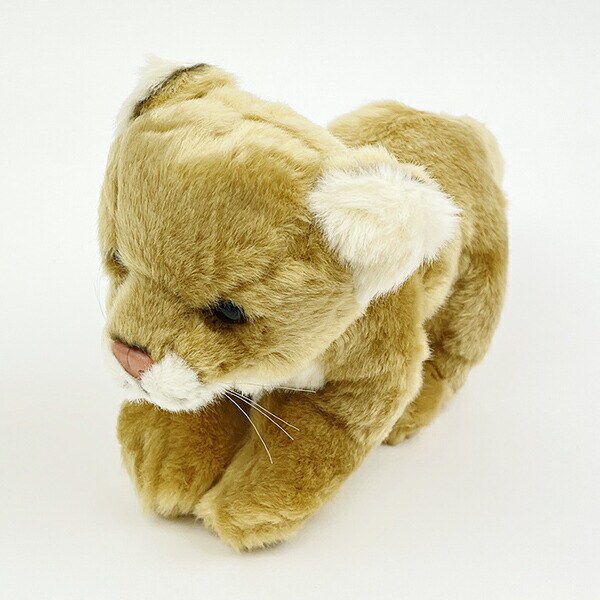 ぬいぐるみ ワイルドアニマルズ メスライオン Ｓ  人形 インテリア キッズ ギフト