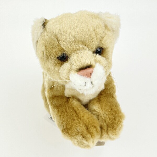 ぬいぐるみ ワイルドアニマルズ メスライオン Ｓ  人形 インテリア キッズ ギフト